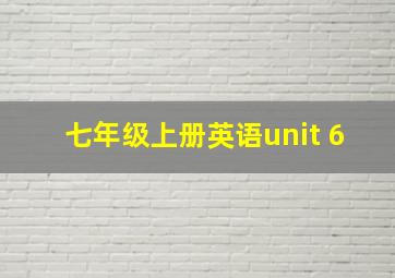 七年级上册英语unit 6